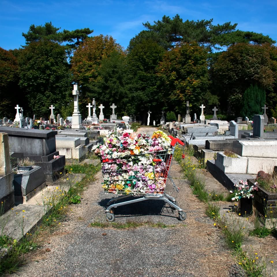 “Après la floraison” de Julie Aubourg